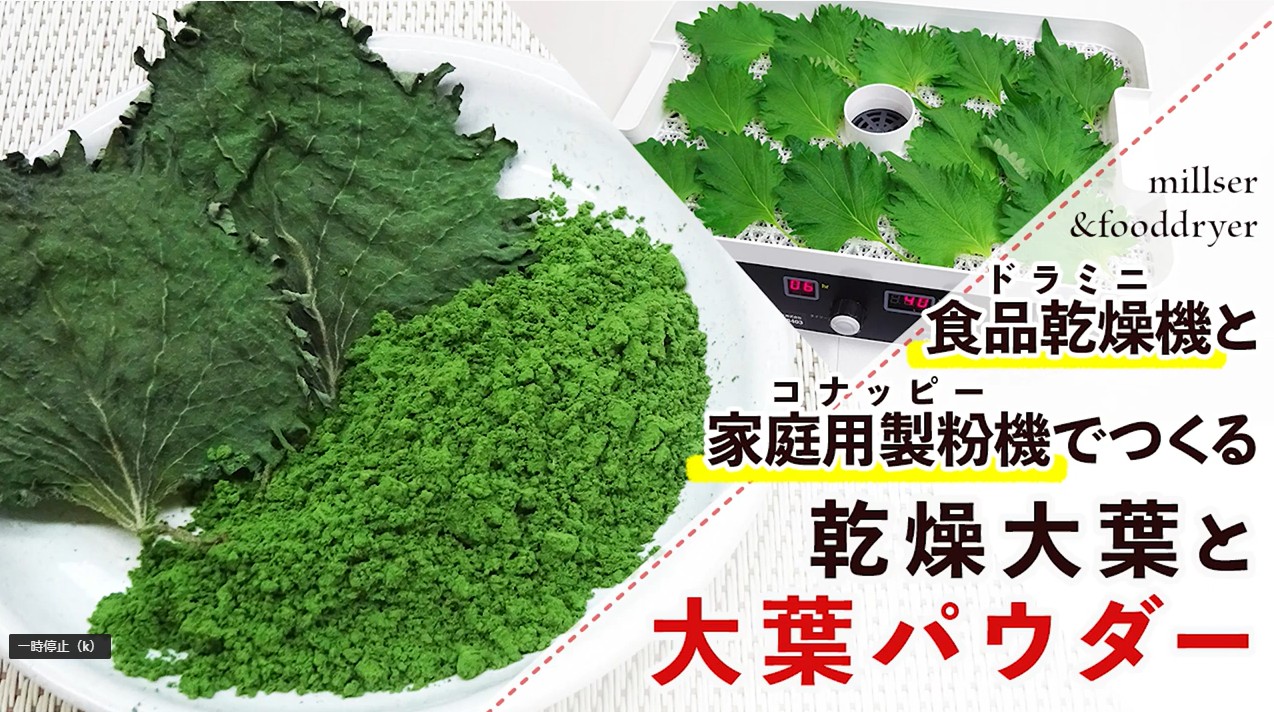 余ったシソの葉は乾燥保存が正解！レンジで簡単パリパリにする方法を徹底解説