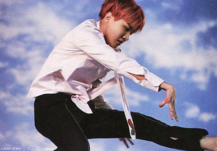 What Was Jung Hoseoks Position in Bts at Debut