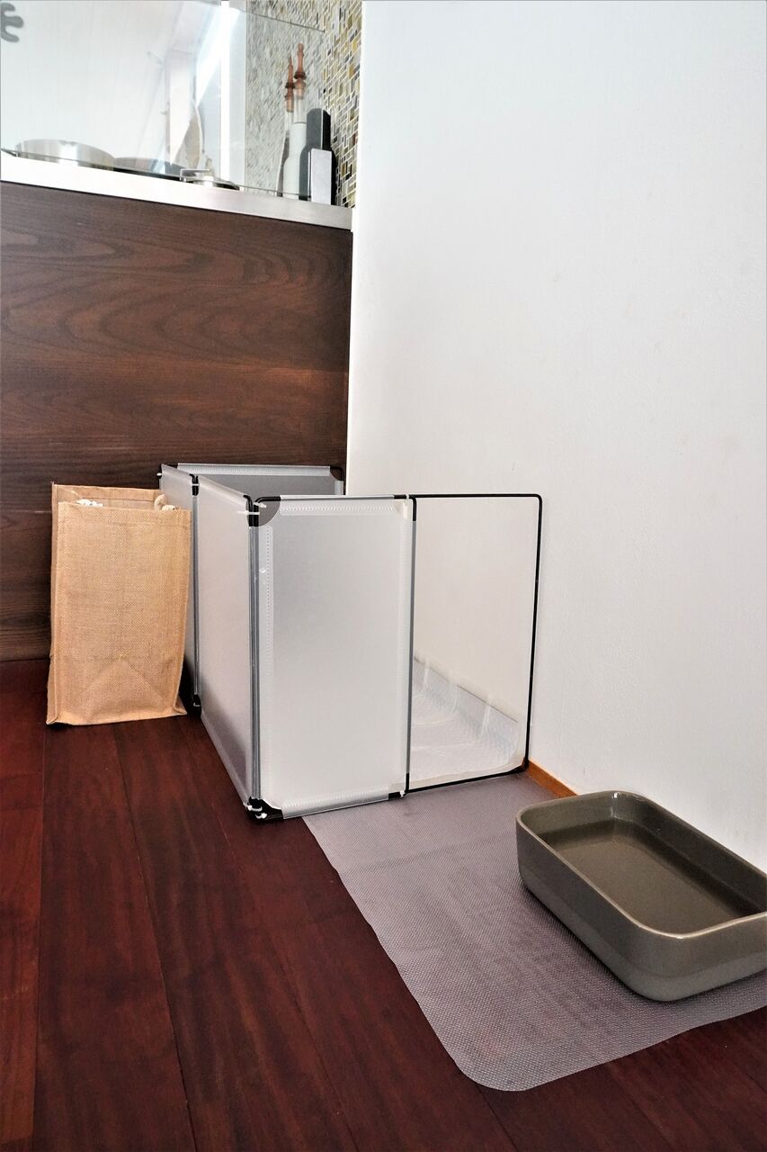 犬のトイレはみ出しは100均で防止！自作ガードの全貌と失敗の真相