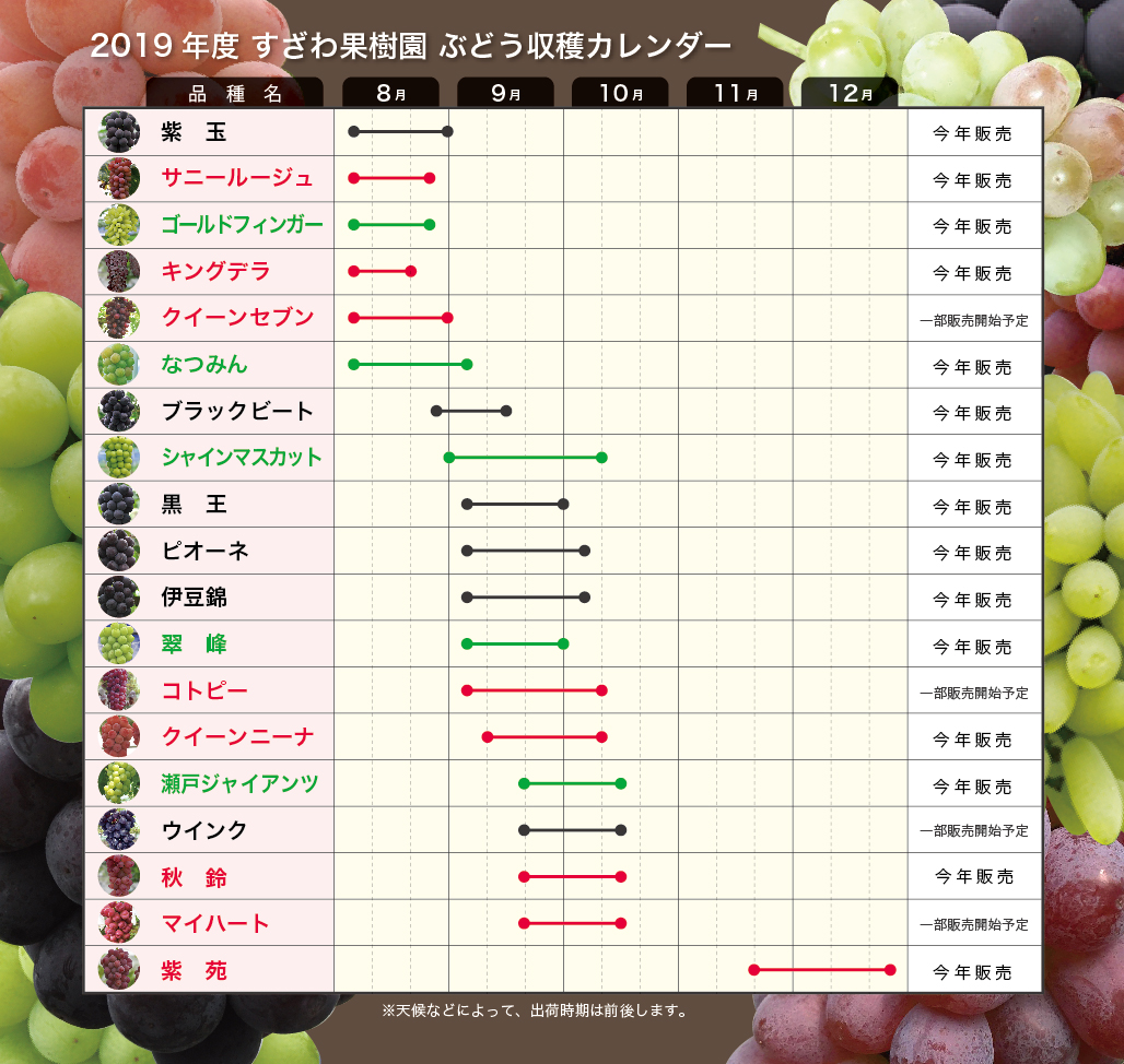 すざわ果樹園のぶどうが絶賛される理由とは？直売・通販の評判を徹底検証