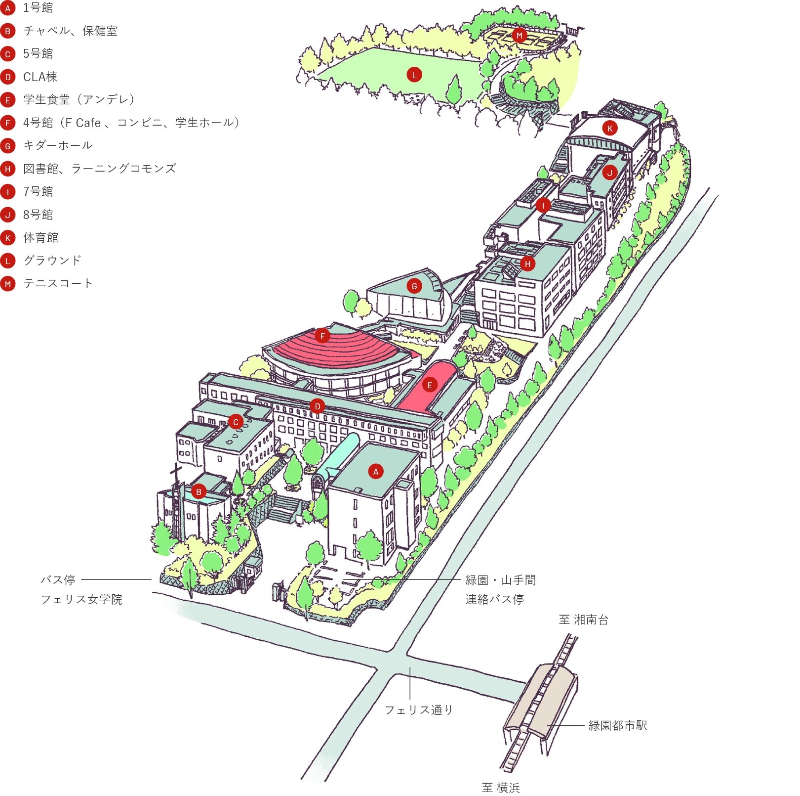 フェリス女学院大・緑園の現在地｜山手統合の真相と2026年最新評判