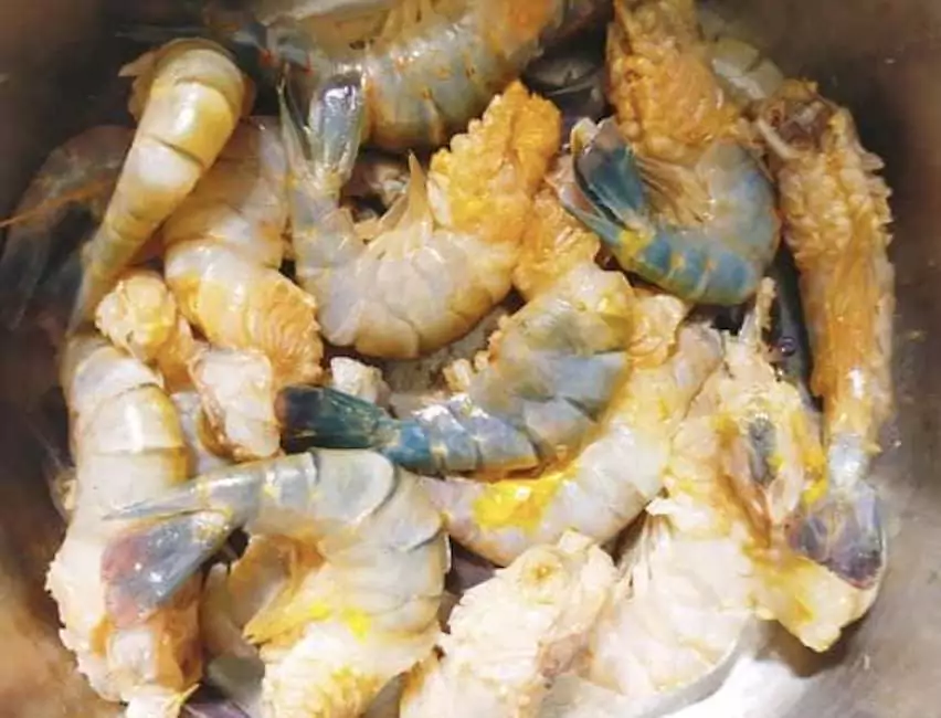Can You Get Sick from Undercooked Shrimp