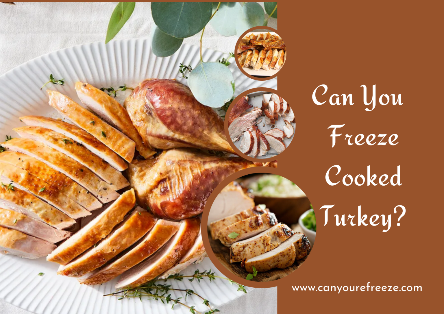 Can I Freeze a Cooked Turkey