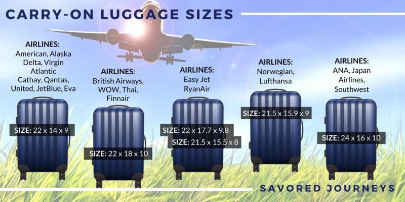 Carry on Luggage Plane Size