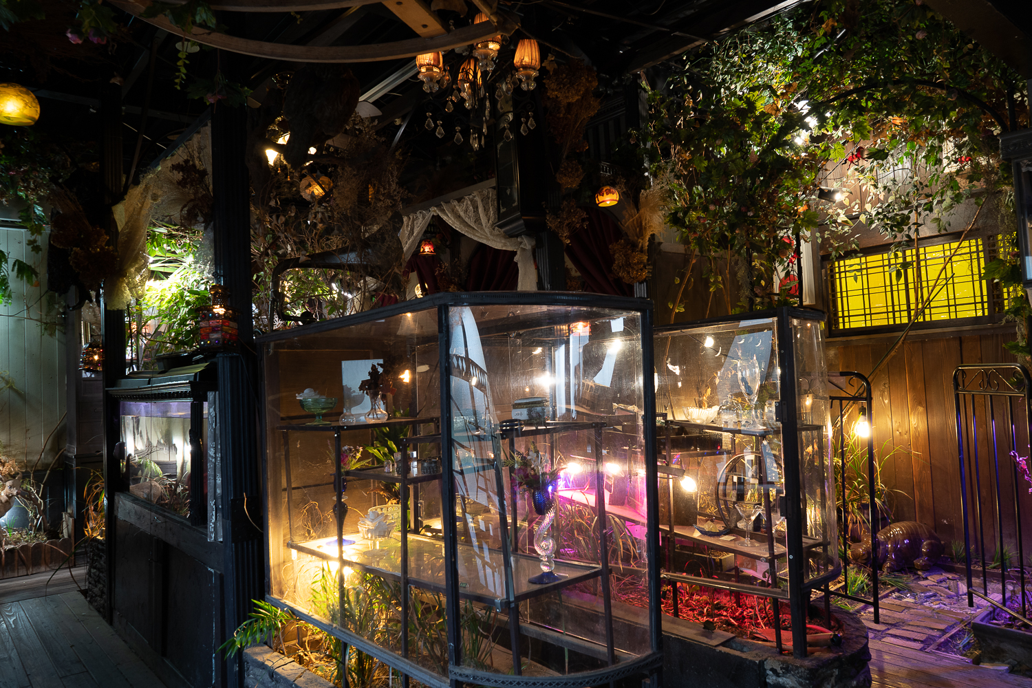 高円寺の異世界カフェ・エセルの中庭の行き方と入店ギミック完全攻略