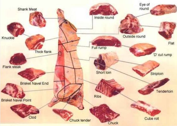 Beef Loin vs Tenderloin
