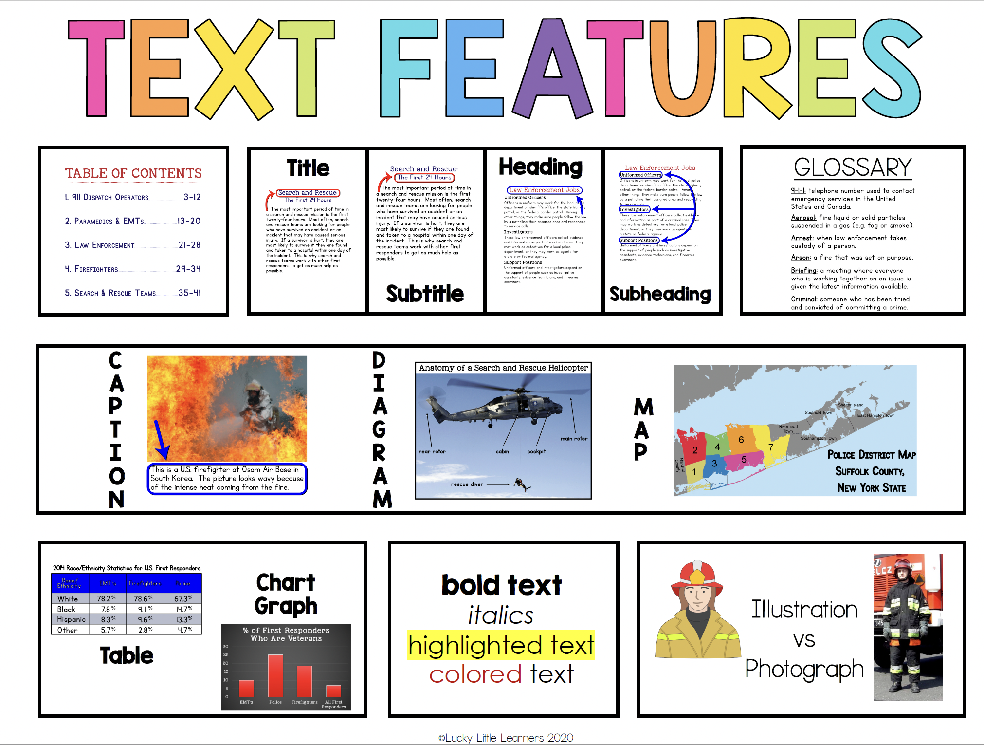 Text Features Anchor Chart Headings Captions Diagrams and Glossary for Elementary Readers