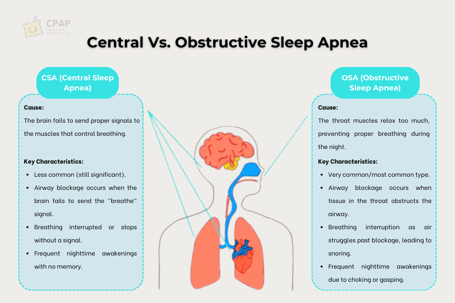 Central Sleep Apnea Etiology