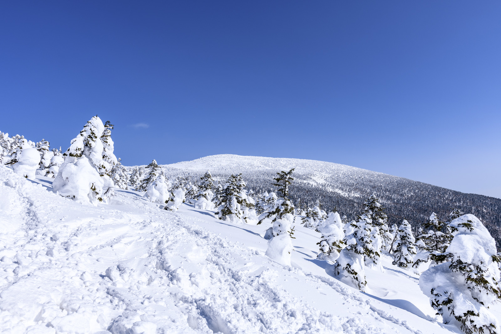 積雪量世界一は日本？伊吹山11.82Mの真実と豪雪ランキング徹底解剖
