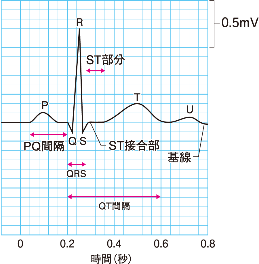P波とは？S波との違いや速度・緊急地震速報の仕組みと計算を徹底解説