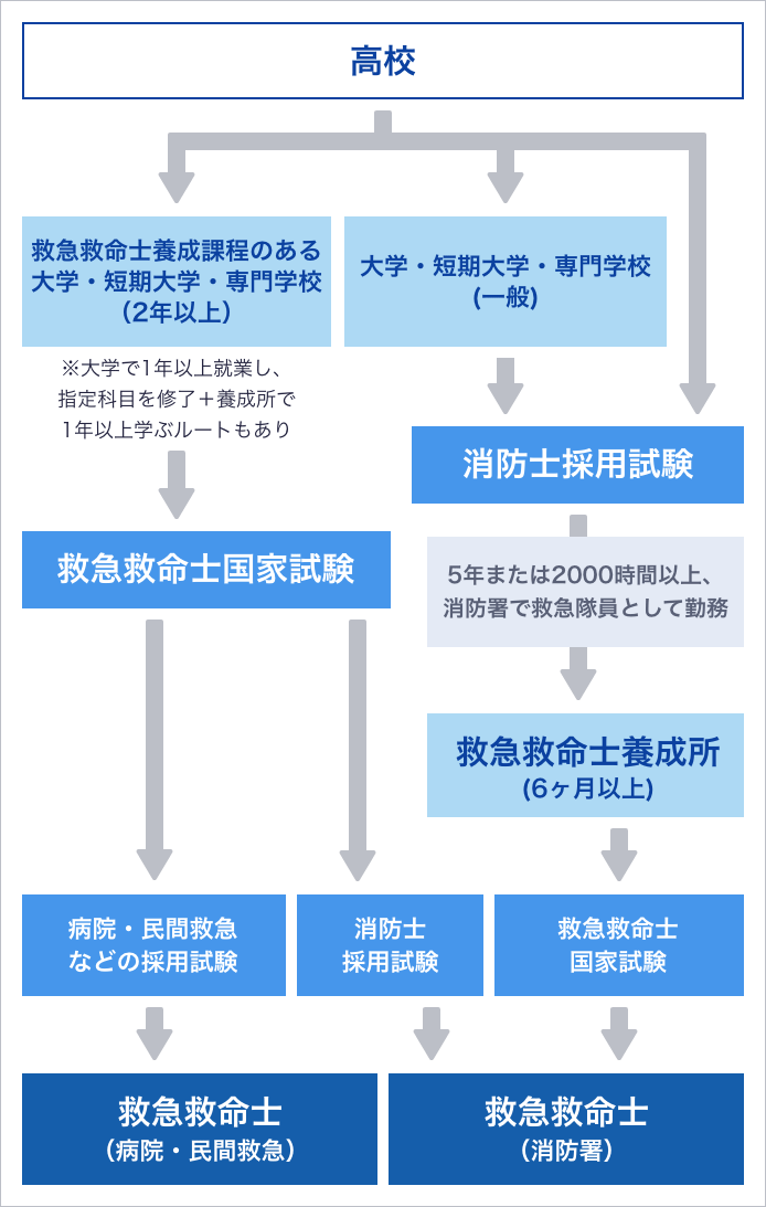 救急救命士は大学か専門か？2026年最新の就職・学費・偏差値比較