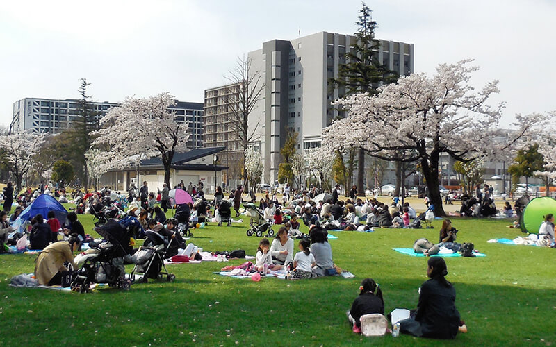 変貌する中野四季の森公園を歩く！周辺グルメと穴場ルートの全貌