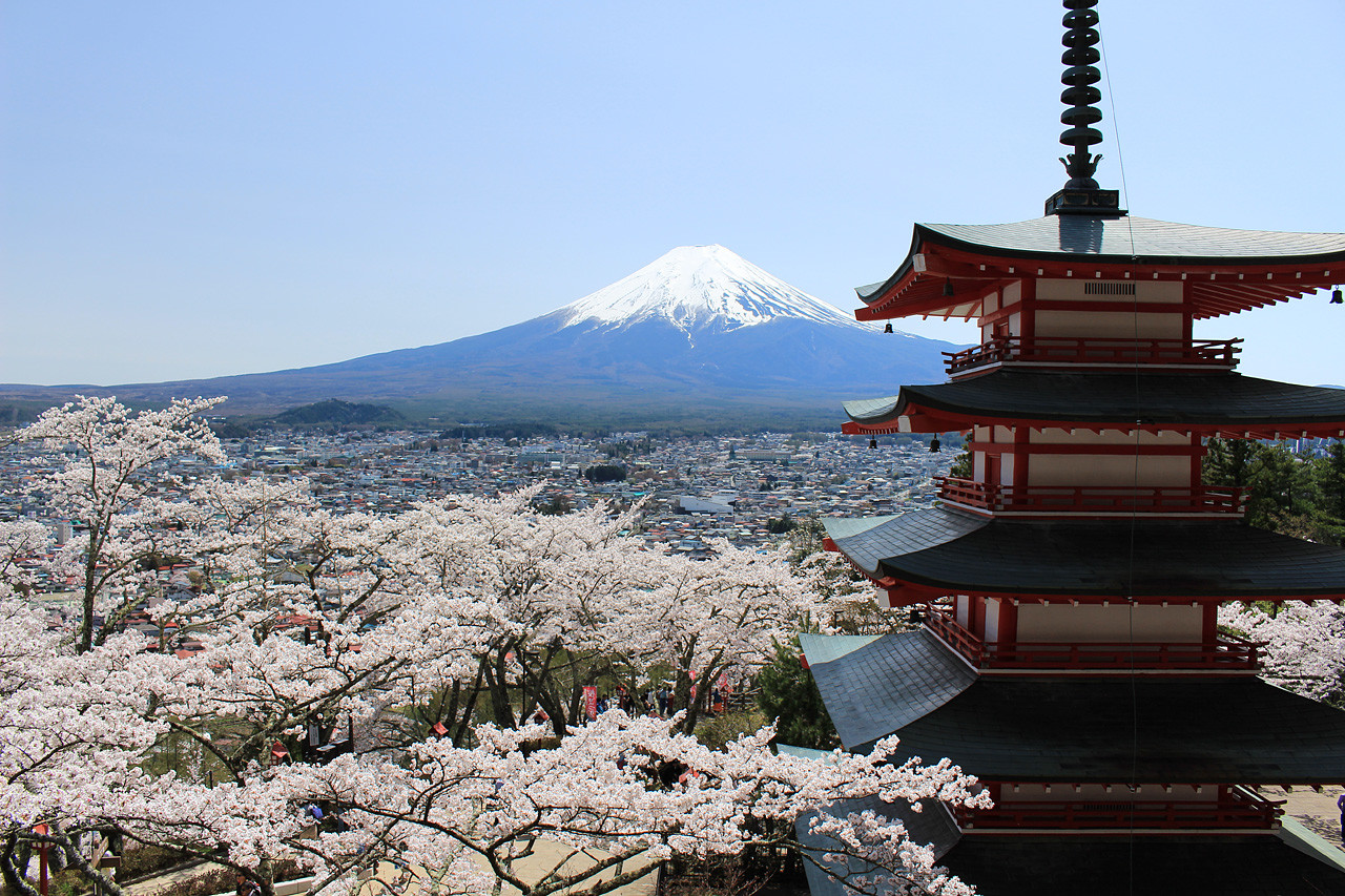 富士山と五重塔の場所はどこ？新倉山浅間公園の行き方と2026混雑を徹底解説