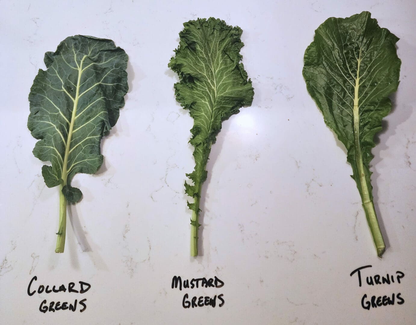 Turnip vs Mustard Greens
