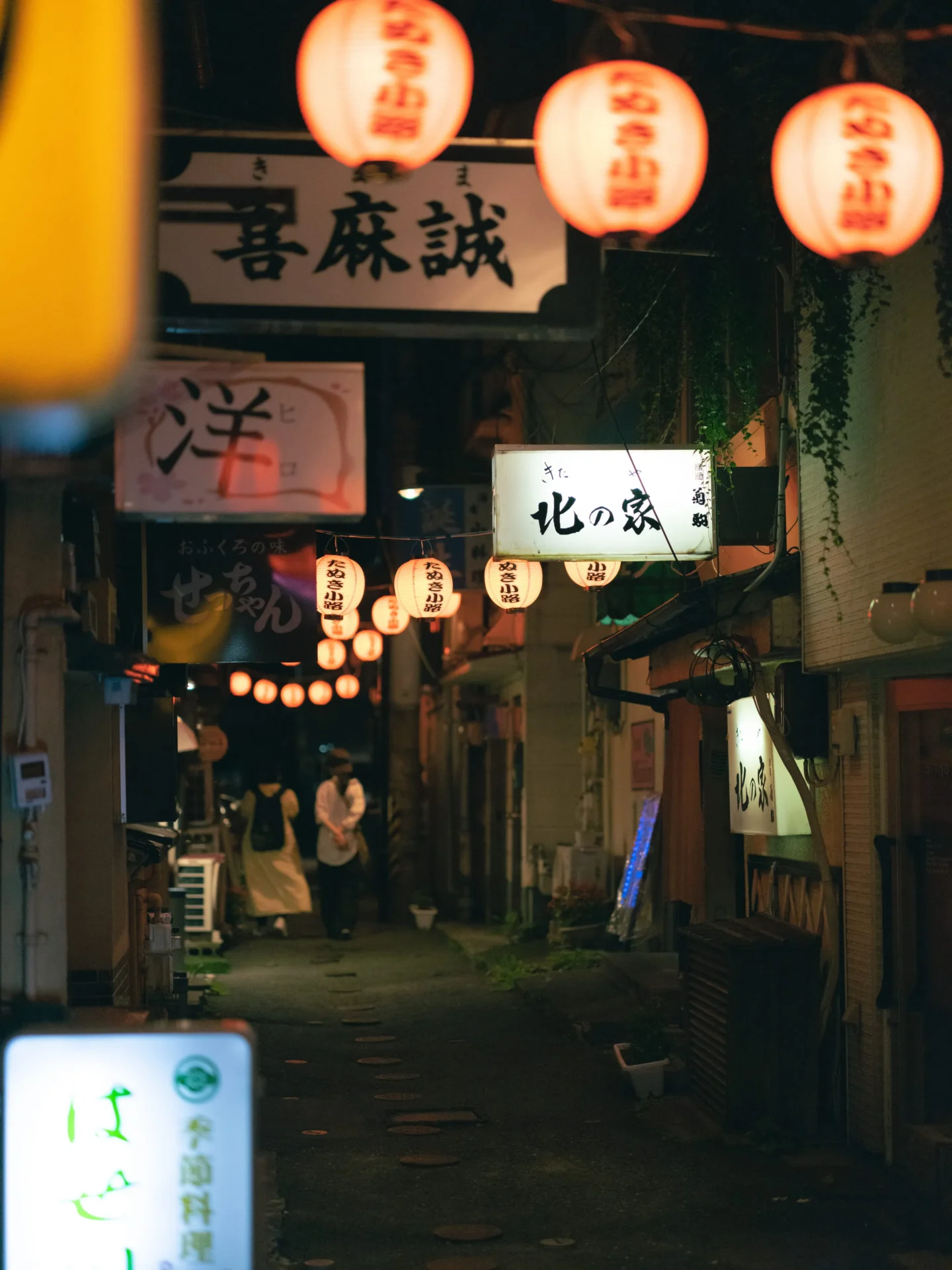 八戸の居酒屋で絶対に失敗しない！地元民が通う隠れた名店と絶品地酒