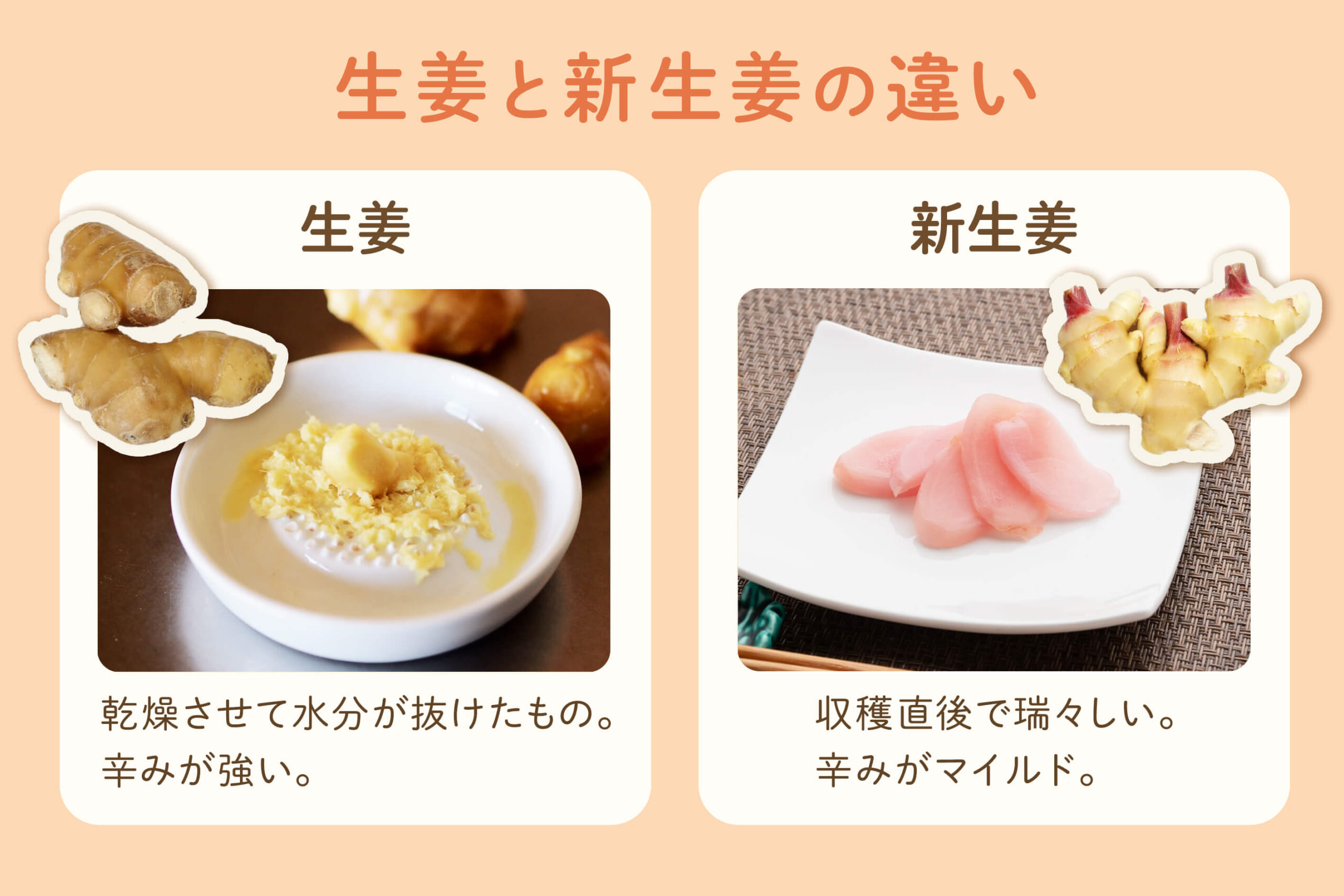 生姜と新生姜の違いとは？旬・辛味・保存法と使い分けの完全解説