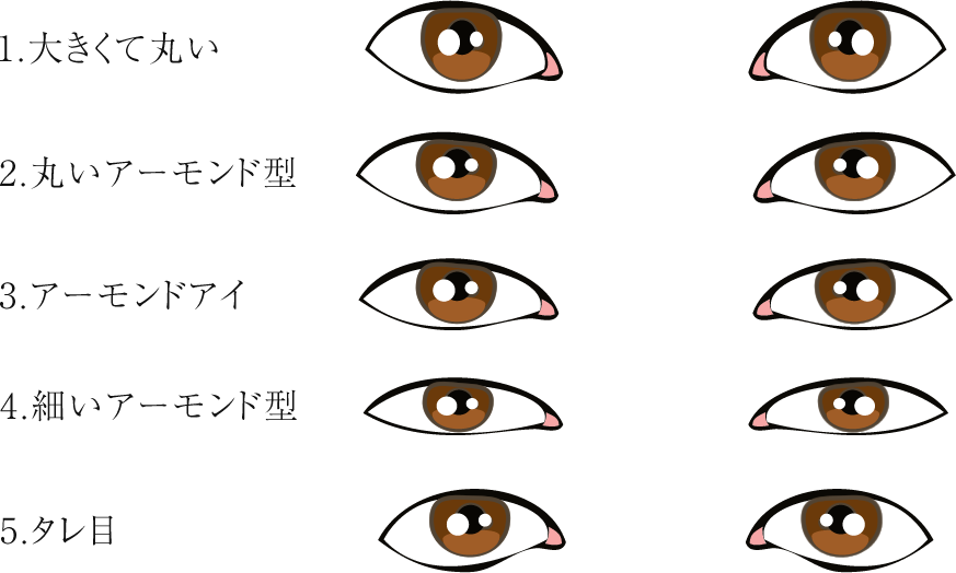 美人の象徴アーモンドアイとは？丸目・ツリ目との違いと最新メイク術