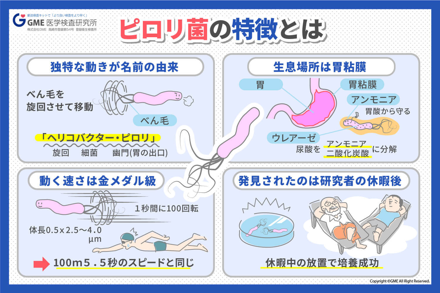 ピロリ菌の症状と初期サイン｜無症状でも胃がんリスクが高まる真相【2026年最新】