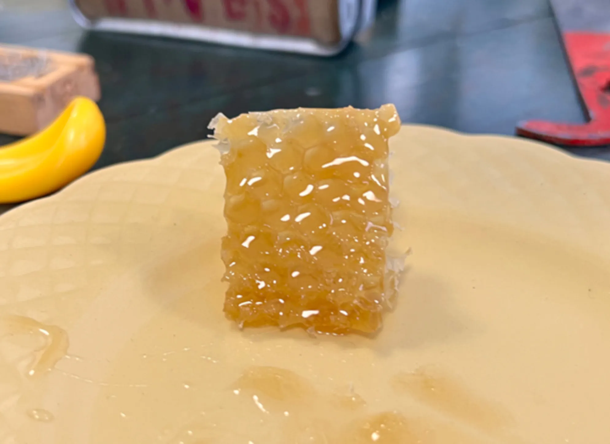 コムハニーとは？蜂の巣を丸ごと食べる極上生はちみつの魅力と食べ方