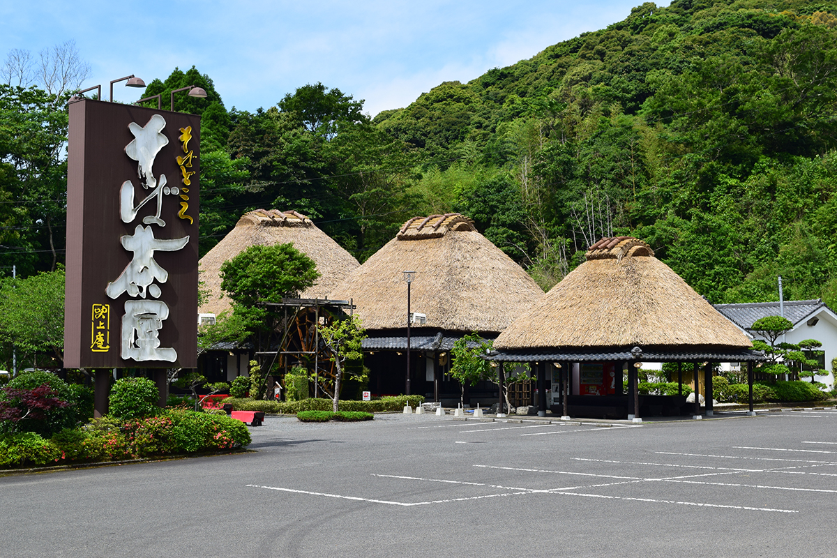 そば茶屋吹上庵に行列が絶えない本当の理由と混雑を避ける裏ワザ完全版