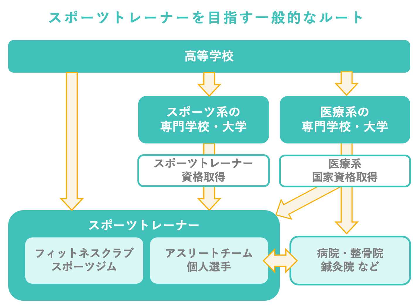 スポーツトレーナーとは？インストラクターとの違いや年収・無資格の真相