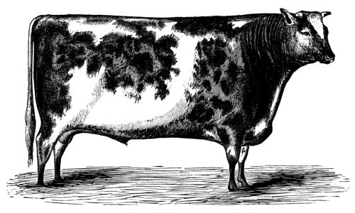 【2026最新】Ab型の特徴と本音を解剖！天才肌と二重人格の真相