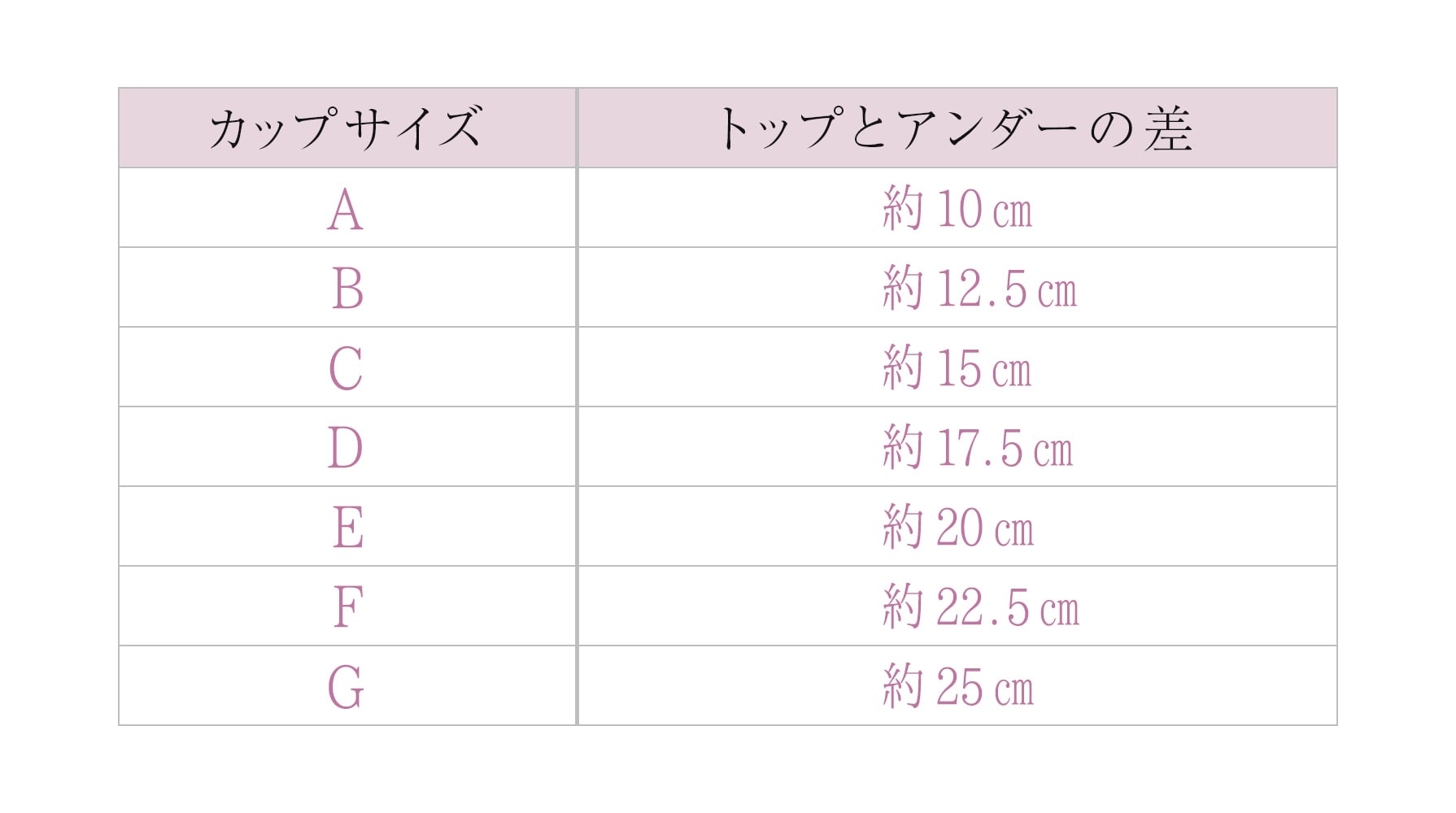 胸のカップ数の正しい測り方と基準｜最新平均や見た目の違いを徹底比較