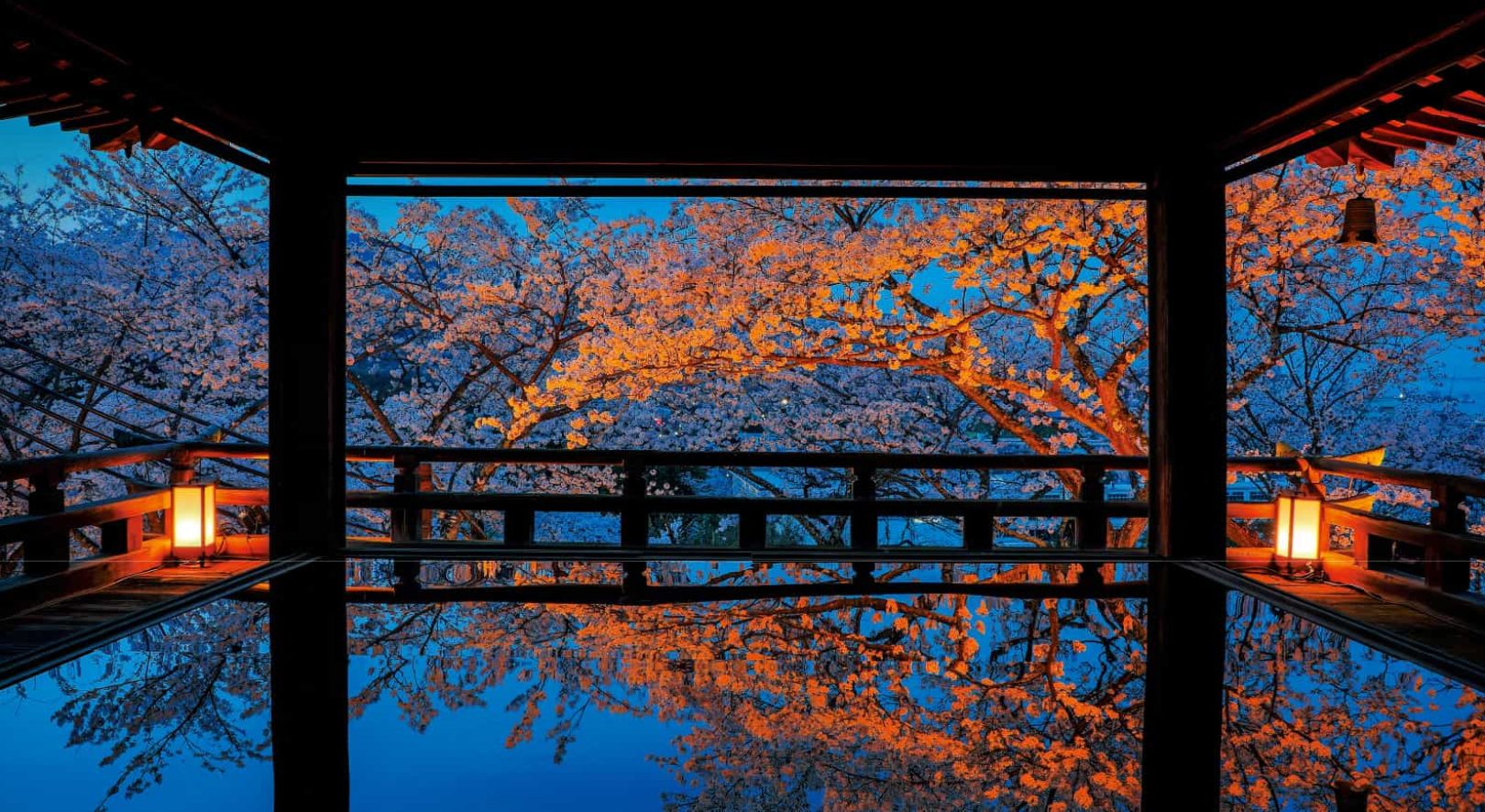 園城寺（三井寺）の見どころ徹底ガイド！弁慶伝説の真相と桜ライトアップ