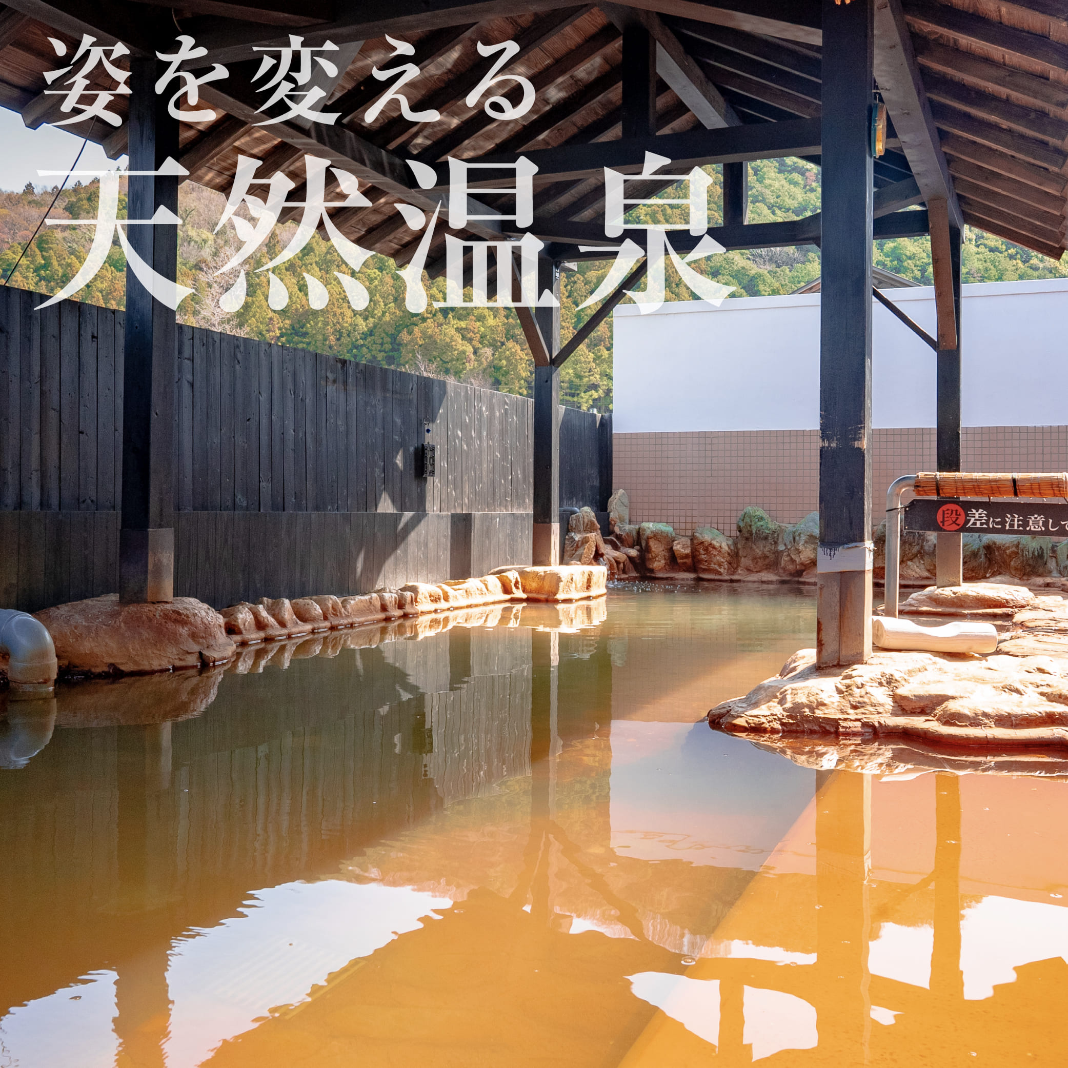 【神川町】おふろCafe白寿の湯の魅力！濃厚泉と混雑回避の裏ワザ