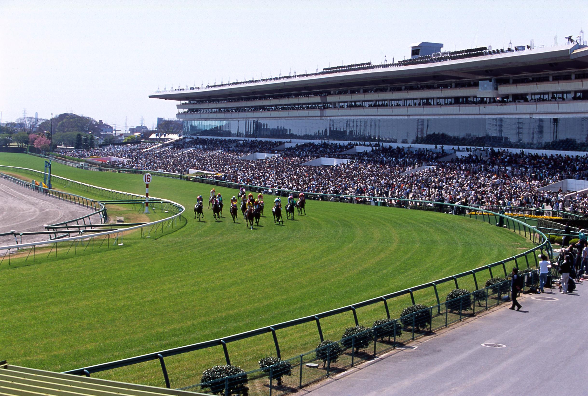 競馬の税金はPatでばれる？銀行口座調査の真相と確定申告ルール