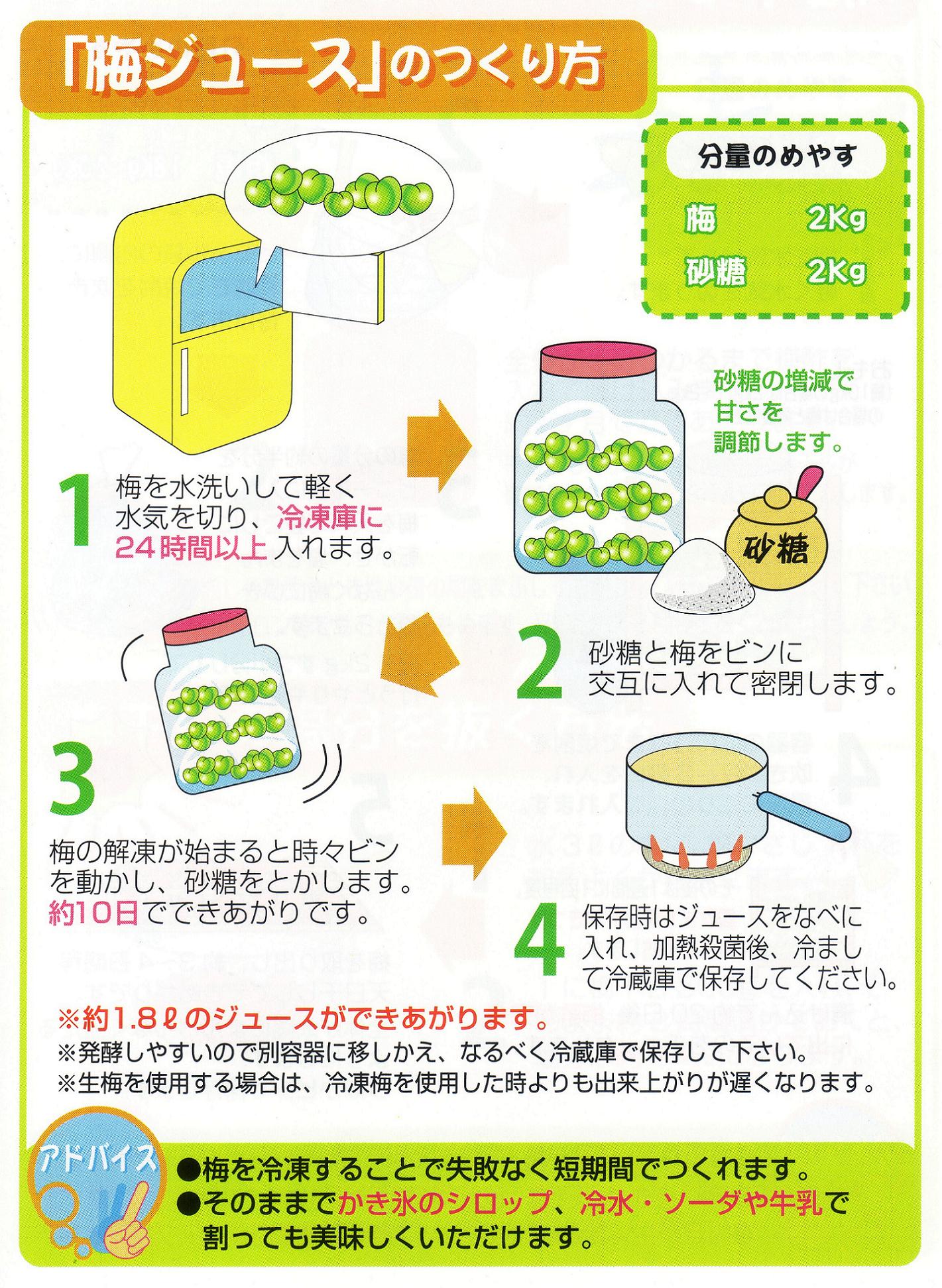 失敗ゼロの梅ジュース簡単レシピ！冷凍梅の裏ワザと発酵を防ぐ黄金比