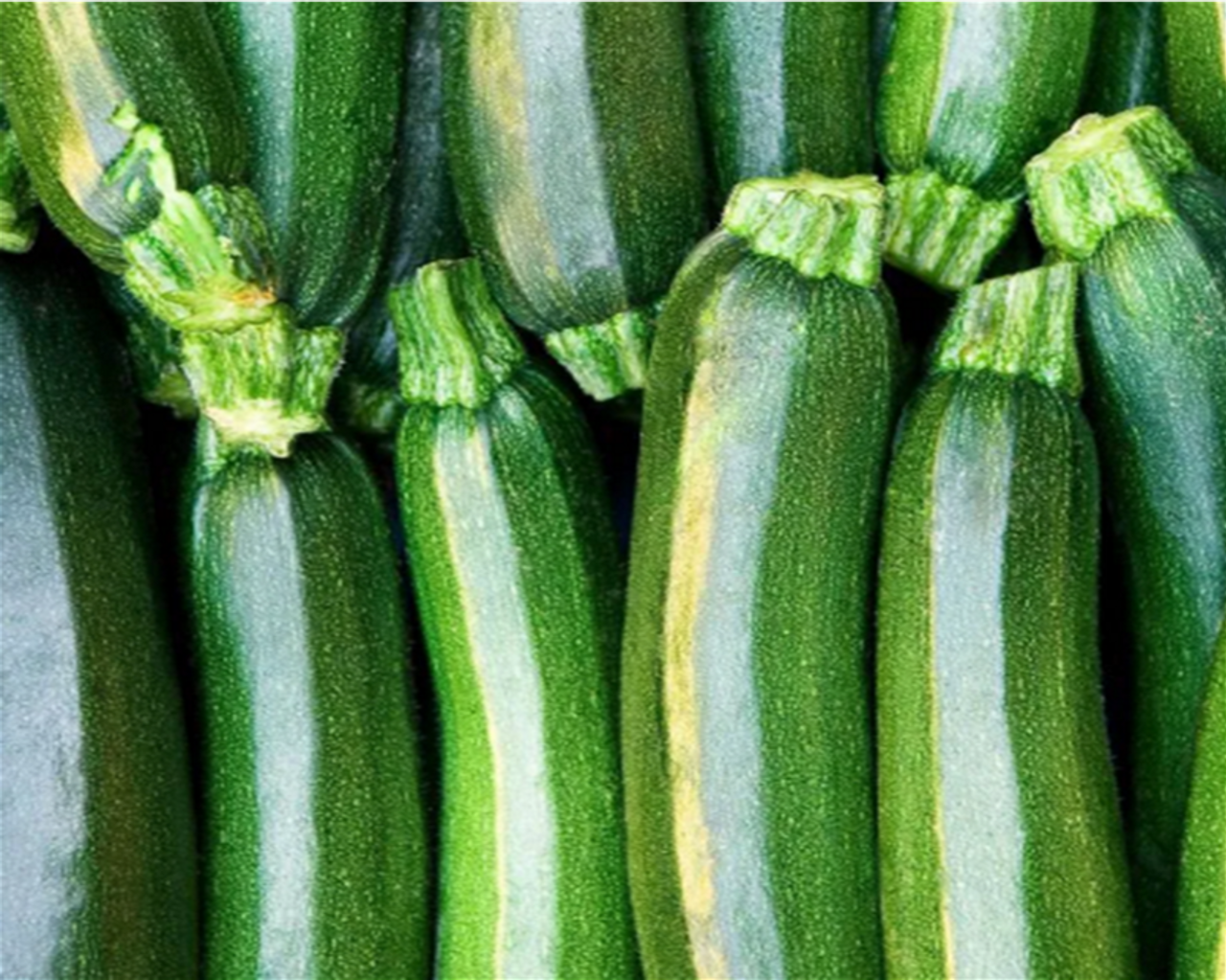 Is Zucchini Green Squash