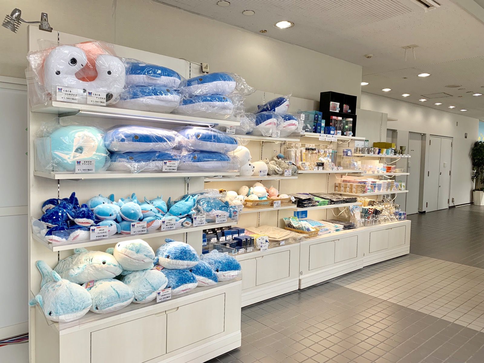 海遊館お土産決定版！バズりぬいぐるみから限定お菓子まで徹底解説