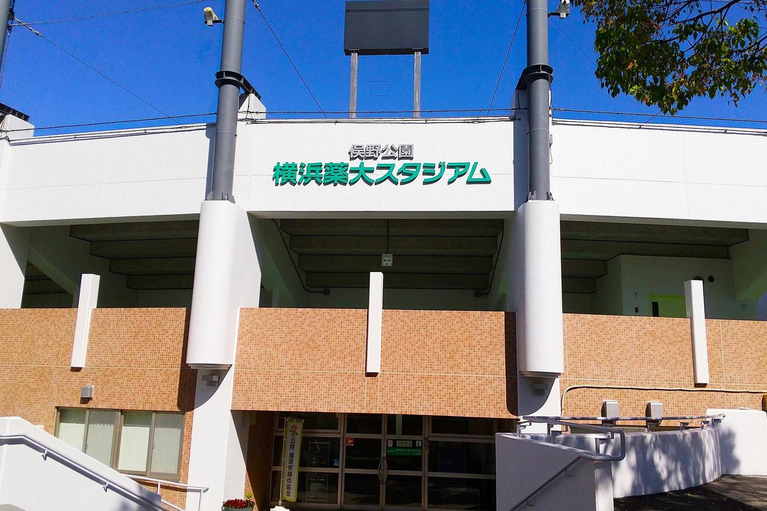 俣野公園横浜薬大スタジアムのアクセス・混雑と観戦完全ガイド