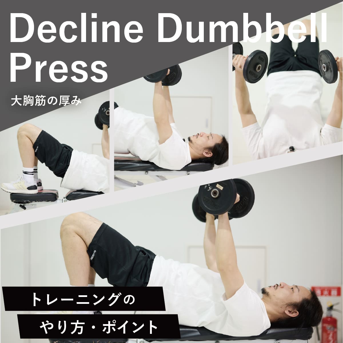 大胸筋下部をダンベルで彫り抜く！輪郭を際立たせる自宅トレ最新解説