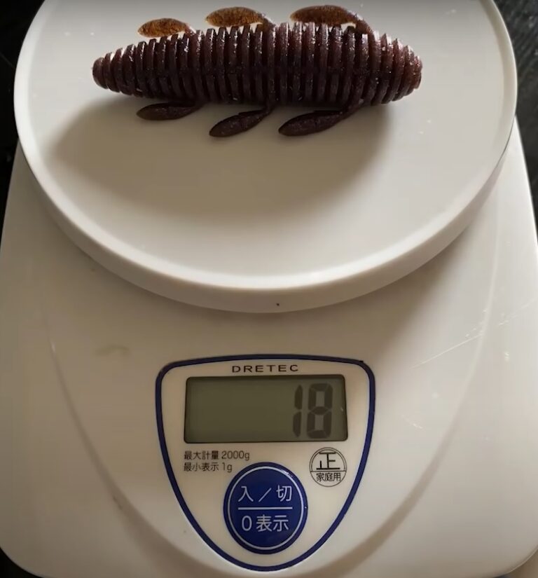 一誠沈み蟲の重さ一覧表！釣果を変える最適フックとタックル徹底検証