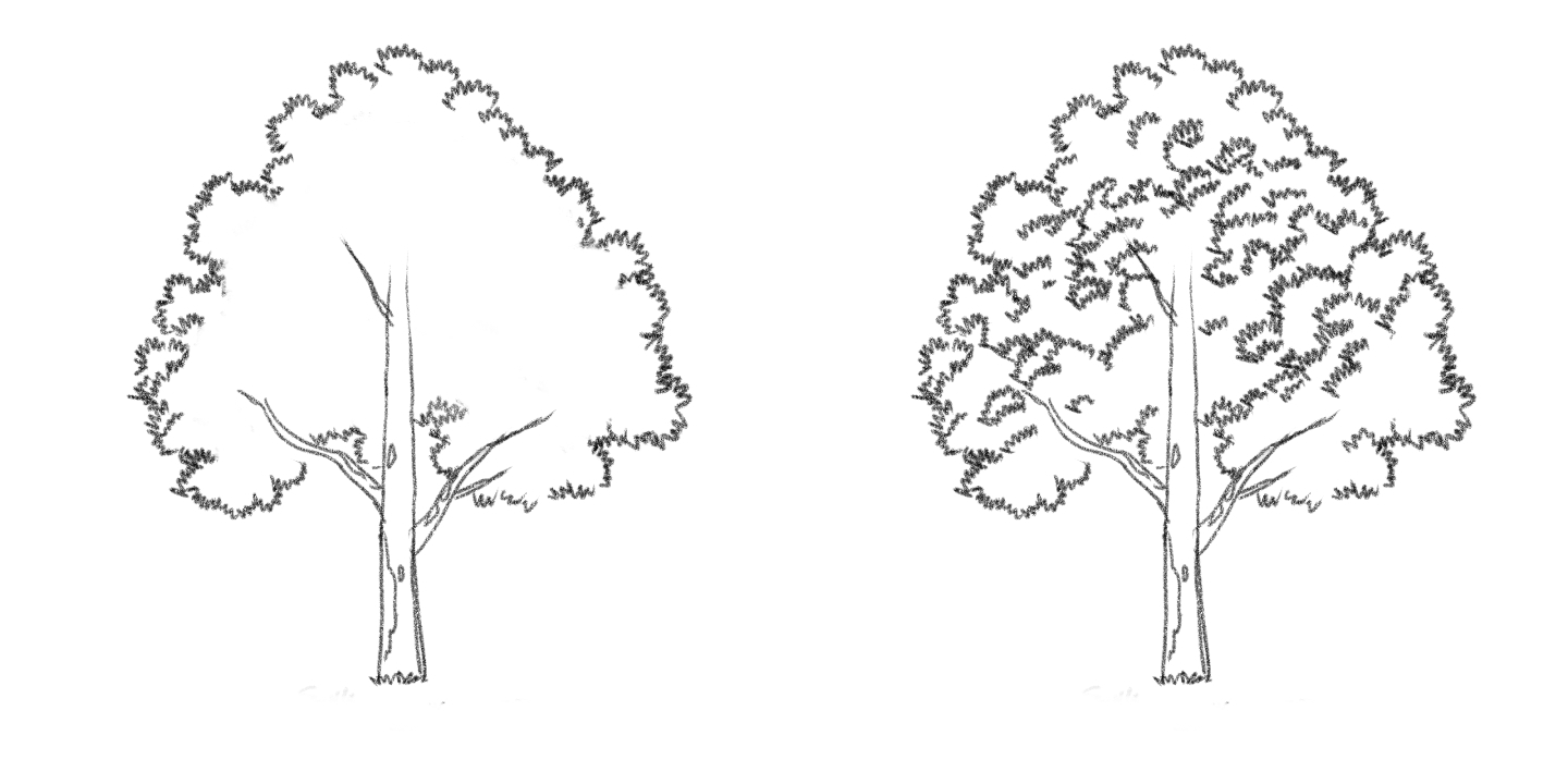 鉛筆での木の描き方完全攻略！初心者でも立体感と質感を出すプロの極意