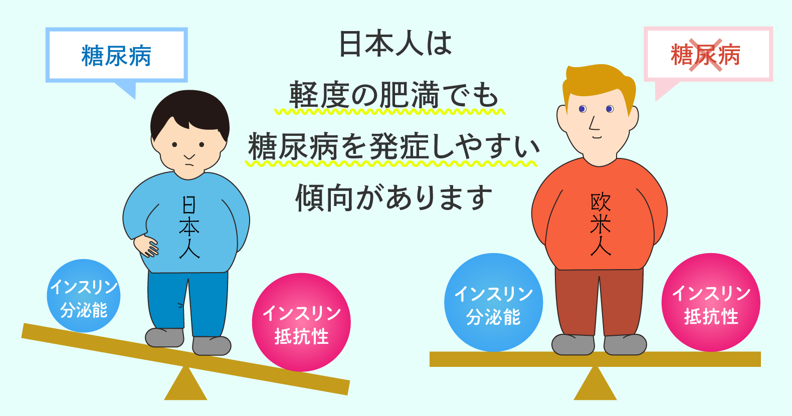 なぜ糖質制限で痩せない？インスリン抵抗性と肥満の悪循環を断つ新常識