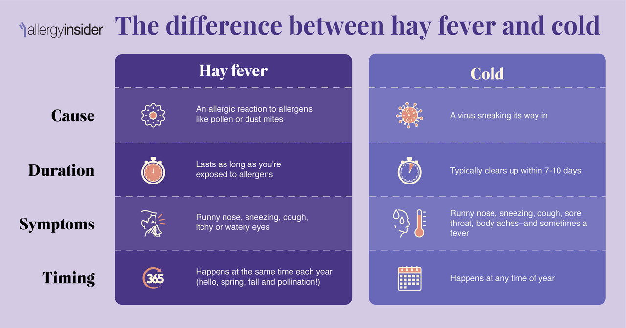 Do I Have a Cold or Hayfever