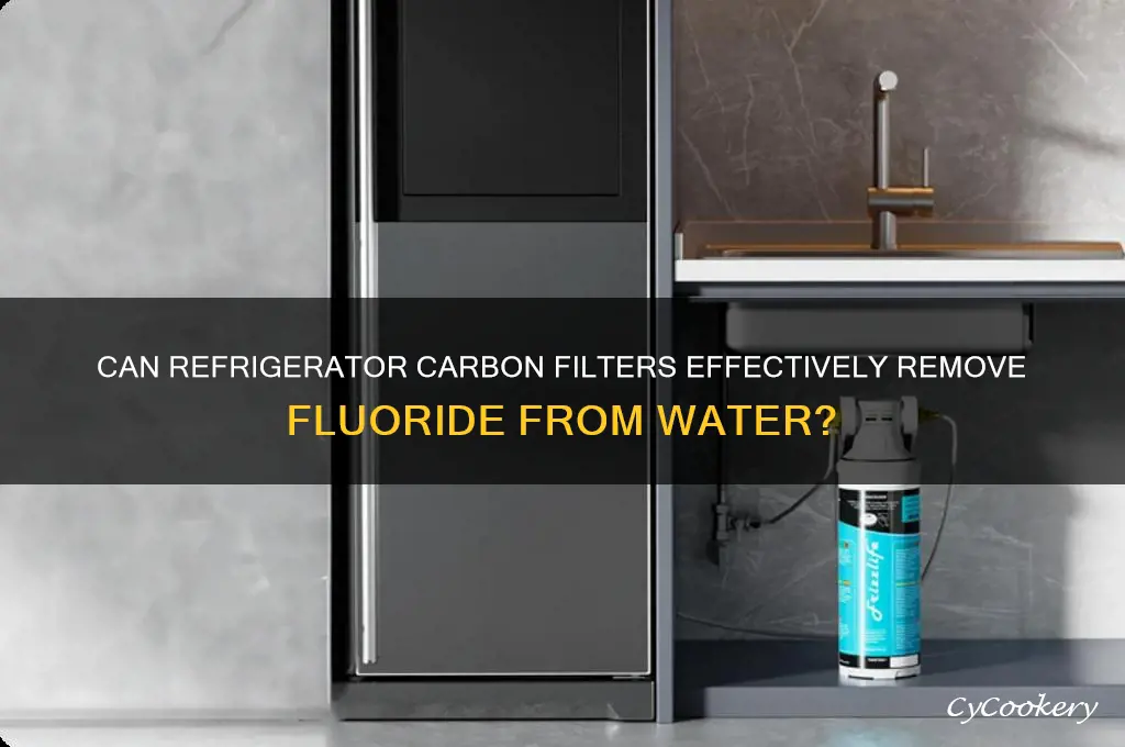 Does Carbon Filter Remove Fluoride