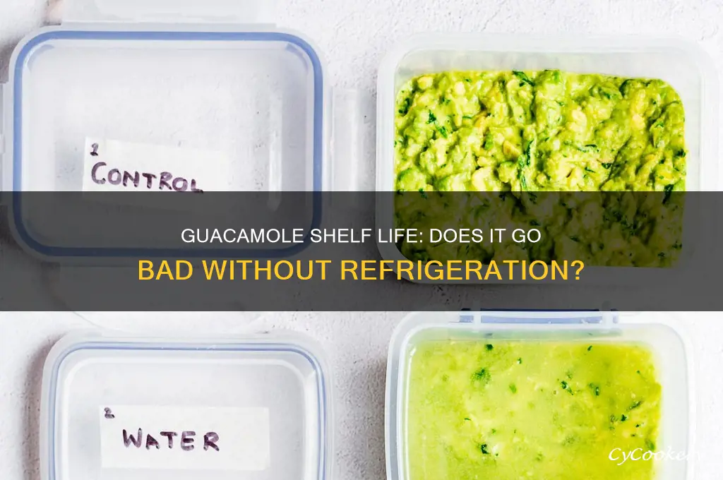 Does Guacamole Need to Be Refrigerated