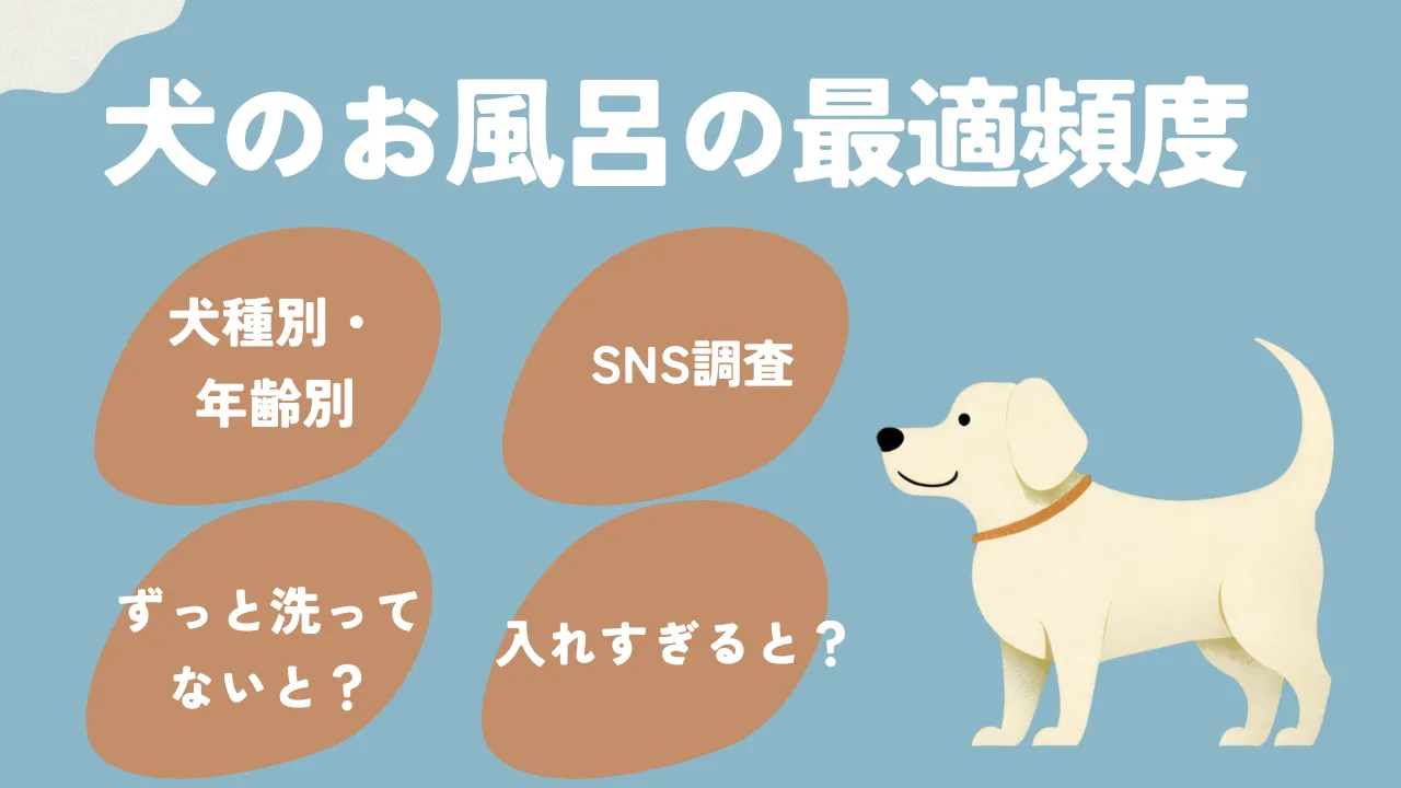 犬のお風呂の頻度は月1回？洗いすぎのリスクとプロが教える最適解【2026】