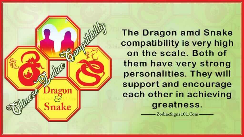 Year of the Dragon and Snake Compatibility