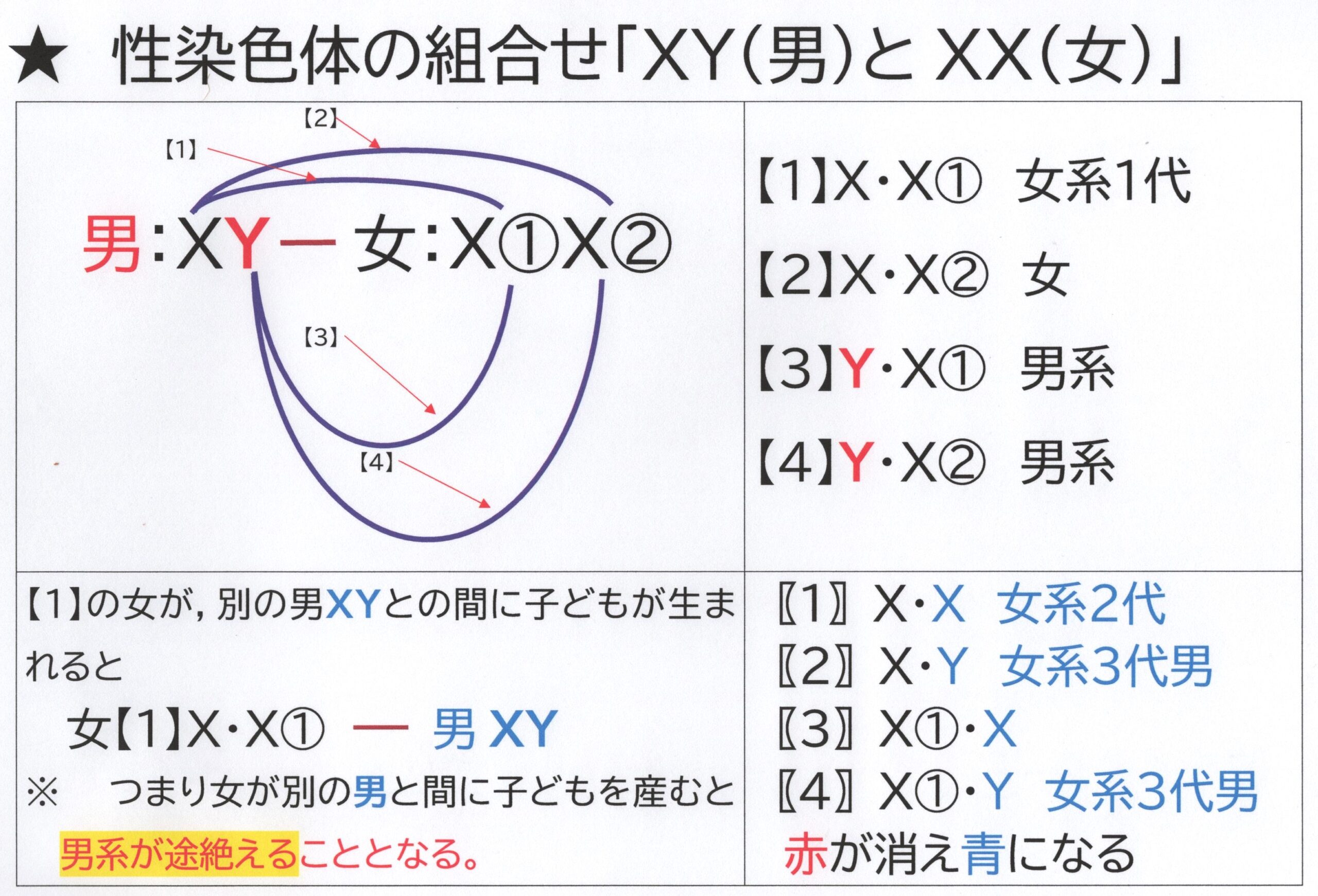 万世一系とは何か？皇統の歴史的真実と揺れる皇位継承問題の核心
