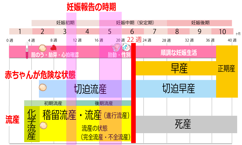 【2026年最新】職場への妊娠報告で失敗しないタイミングと順番｜メール文面・トラブル回避のリアル