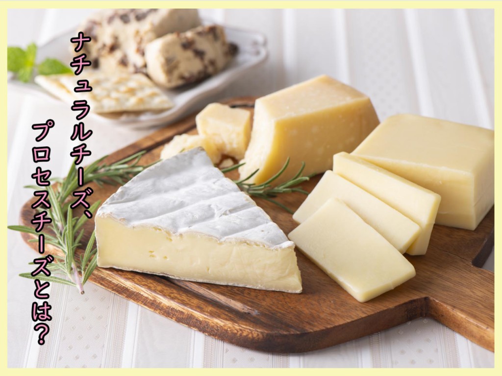吹き替え配信から製造秘話まで！いま日本で起きるチーズ熱狂の全貌