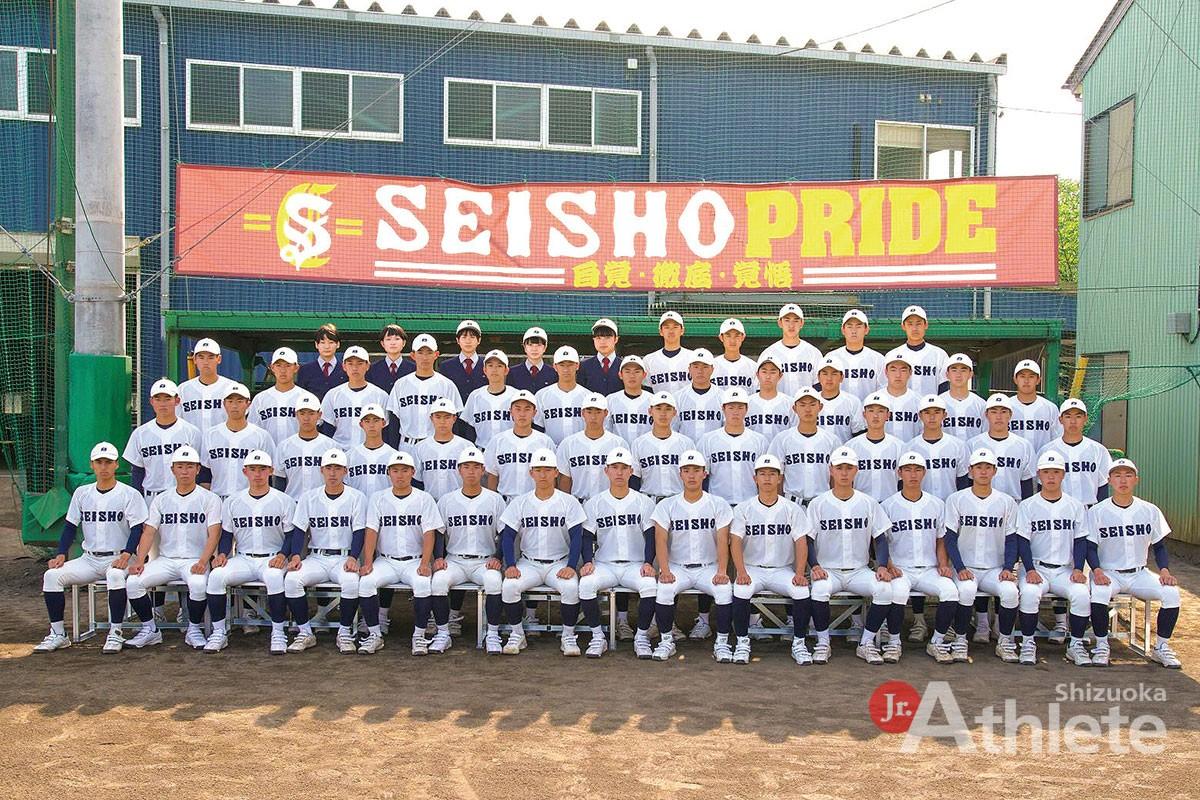 【2026最新】静岡商業野球部のメンバー一覧！出身中学や注目選手を徹底解説