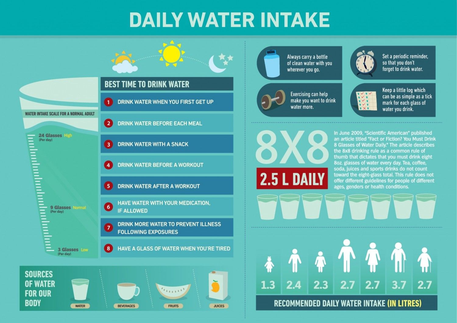 How Much Water Should Adult Drink per Day