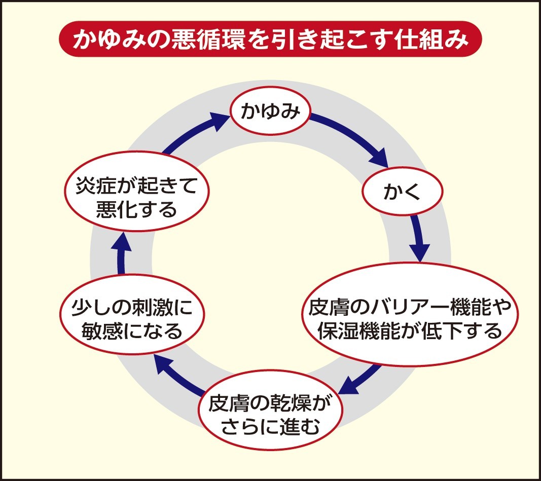 発疹がないのに体が痒い？肝臓が発する危険サインと見逃せない初期症状