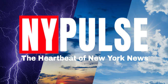 The Pulse of the Electorate: What the Nytimes Live Forecast Reveals